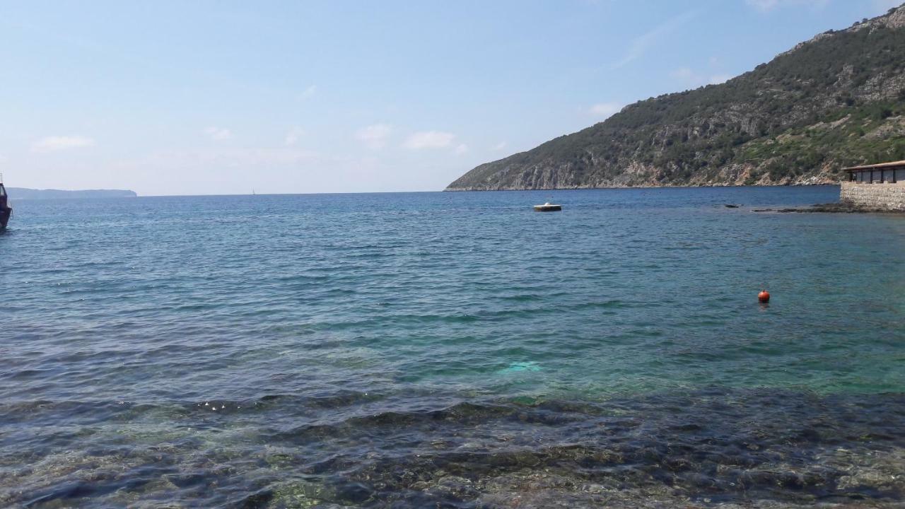 Anka'S Beach コミジャ エクステリア 写真